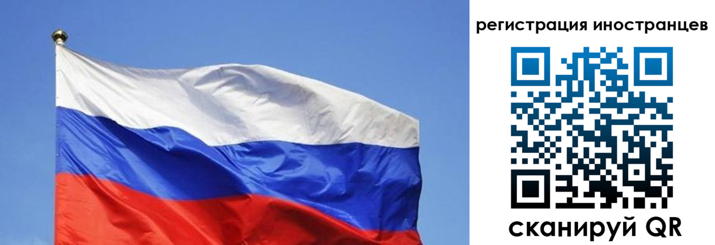 где прописаться в Зеленогорске